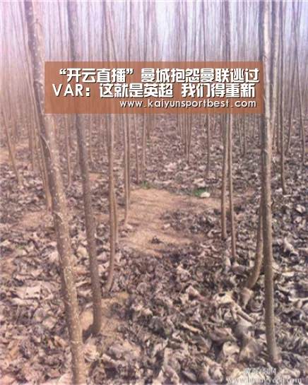开云入口