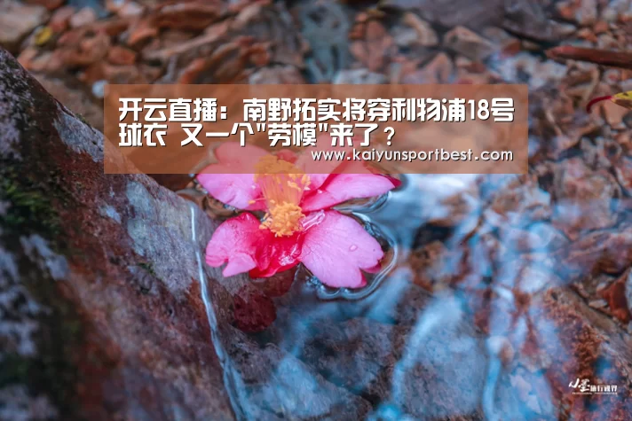 开云直播:南野拓实将穿利物浦18号球衣 又一个劳模来了?(图4) 开云入口