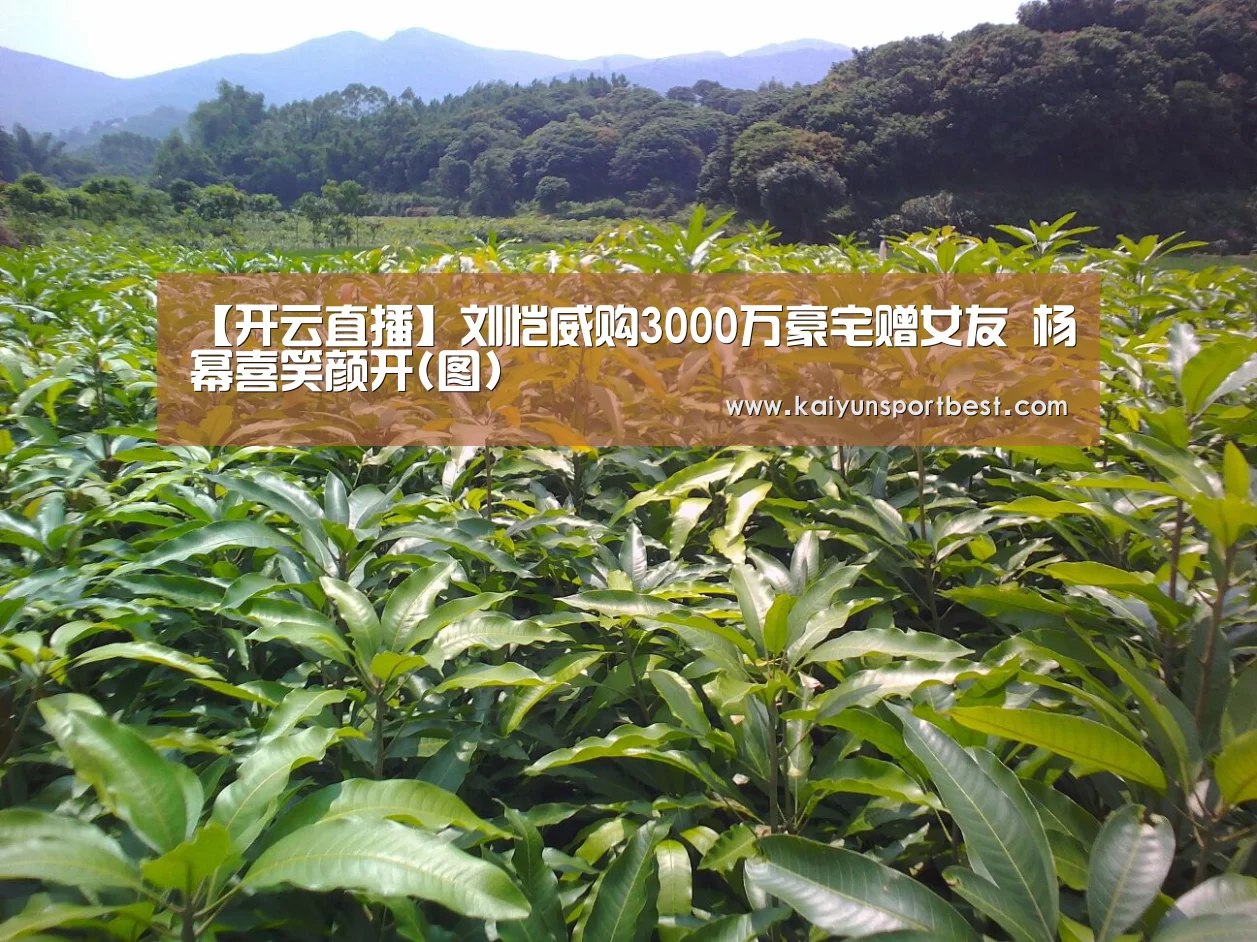 开云APP