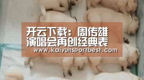 开云下载:周传雄演唱会再创经典表演多种乐器回馈粉丝(图4) 开云直播